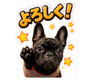 882846305