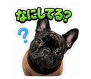 882846320