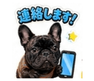882846339