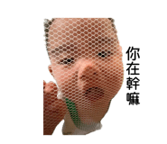 882851902