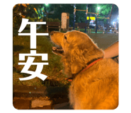882852187
