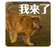 882852197