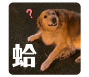 882852199