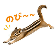 882852356