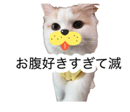882860137