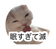 882860138