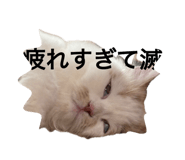 882860141