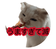 882860143
