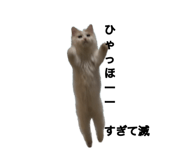882860146