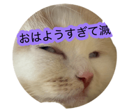 882860147