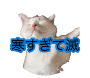 882860148