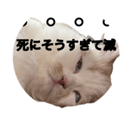 882860149