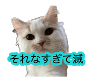 882860150