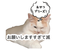 882860151