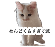 882860158