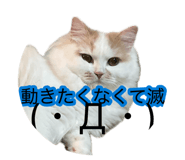882860159