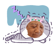 882862036