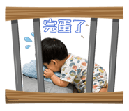 882873446
