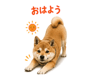 882880625