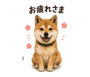 882880627