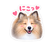882881402