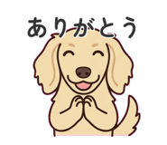 882881435