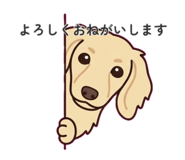 882881438