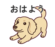 882881440