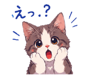 882881661