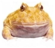 882884465