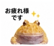882884466
