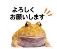 882884467