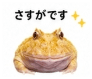 882884473