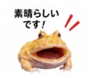 882884474