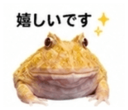 882884475