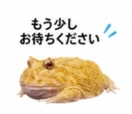 882884479
