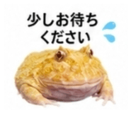 882884480