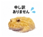 882884485