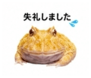 882884489