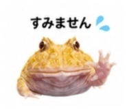 882884490