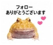 882884491