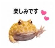 882884493
