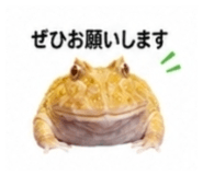 882884494