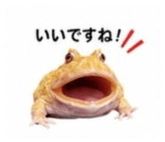 882884495