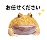 882884497