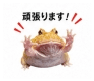 882884498