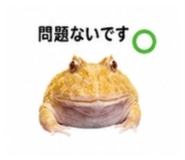 882884499