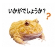 882884500