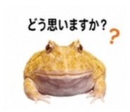 882884501