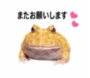 882884503